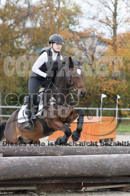 IGV Lehrgang der Sieger der Cups mit Frank Ostholt