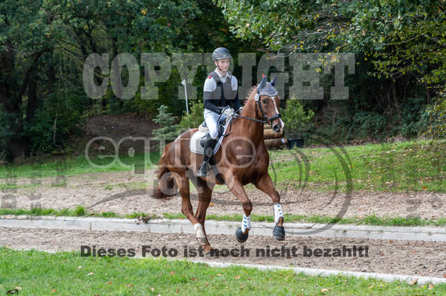 Goldene Schärpe 2020 - Pferde