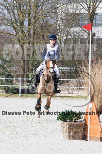Eventing Langenfeld 2018