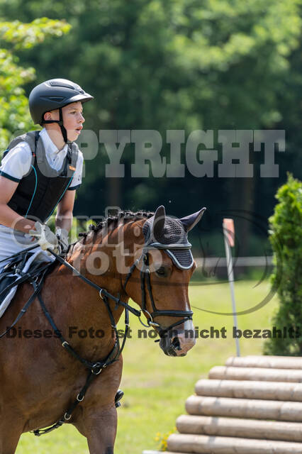 Goldene Schärpe 2021 - Ponys