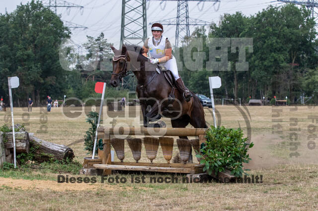 Late-Entry Vielseitigkeit Hamminkeln/Wesel (01.+02.08.2020)