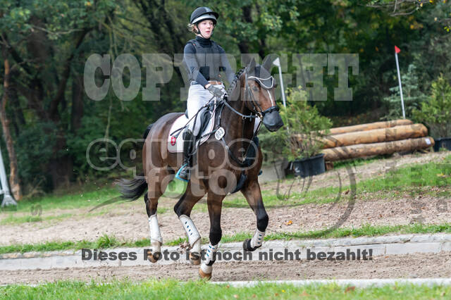 Goldene Schärpe 2020 - Pferde