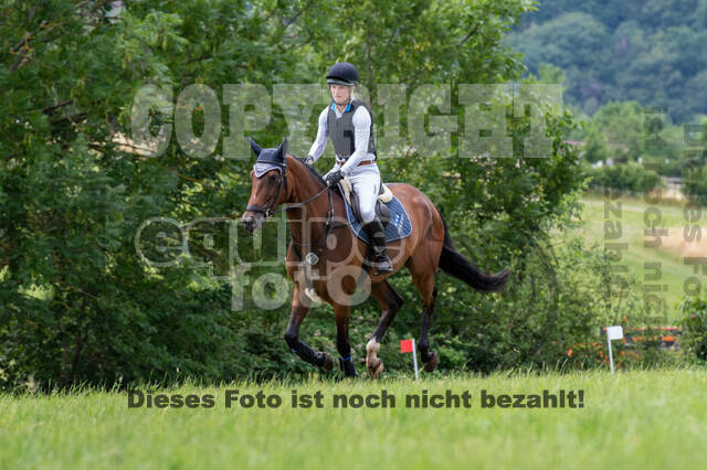 Bonn-Rodderberg Late-Entry-Vielseitigkeit (30.06.2020)