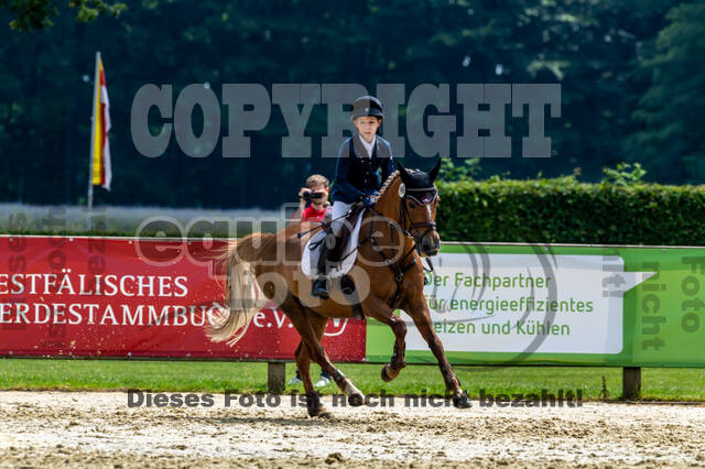 Goldene Schärpe 2021 - Ponys