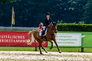 Goldene Schärpe 2021 - Ponys