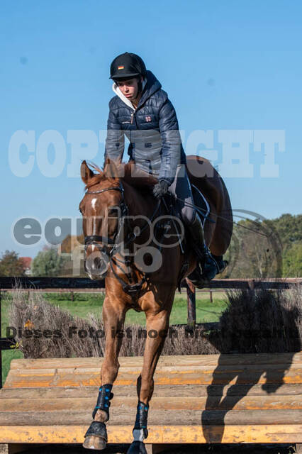 Vielseitigkeitslehrgang mit Jürg Kurbel (9.+10.11.2019)