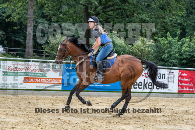 Hunter Geländetraining 10.07.2021 (Sonsbeck)