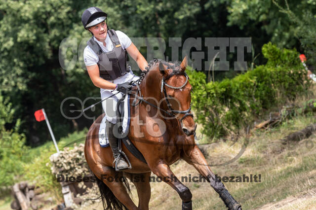 Late-Entry Vielseitigkeit Hamminkeln/Wesel (01.+02.08.2020)
