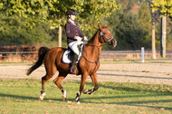 IGV Kleve