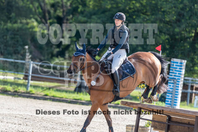 Late-Entry-Vielseitigkeit Langenfeld (11.+13./14.06.2020)
