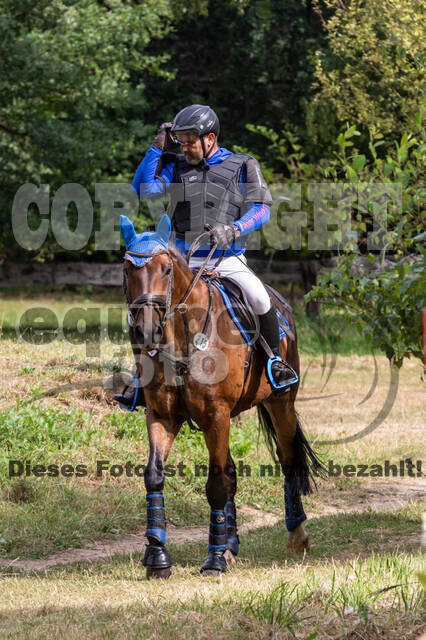 Late-Entry Vielseitigkeit Hamminkeln/Wesel (01.+02.08.2020)
