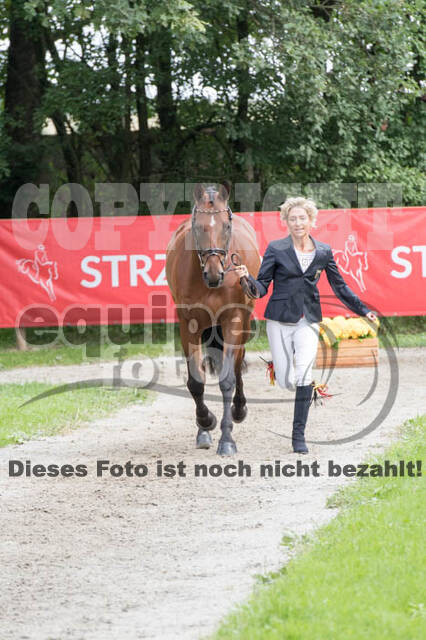 FEI European Championship Eventing 2017