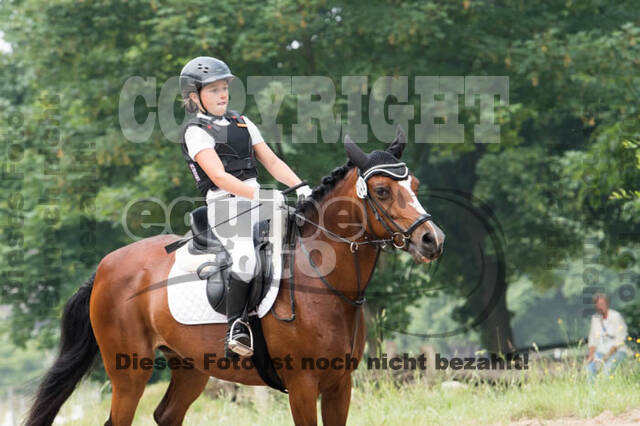 RFV Bad Honnef