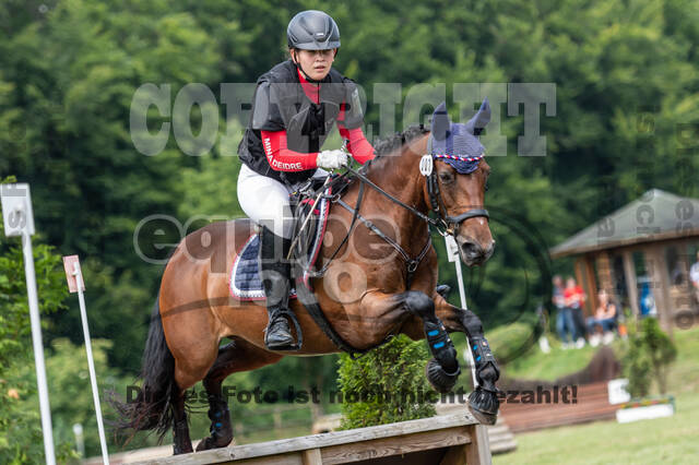 Goldene Schärpe 2021 - Ponys