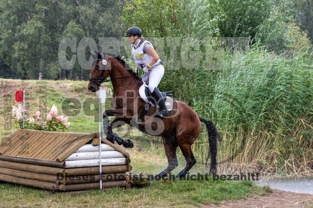 Late-Entry Vielseitigkeit Hamminkeln/Wesel (01.+02.08.2020)