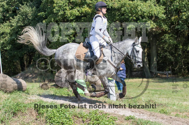 Vielseitigkeitsturnier RSV St. Hubertus Wesel Obrighoven