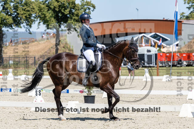 Kronenberg - De Peelbergen (August 2020)