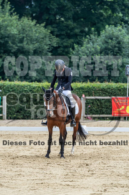 Goldene Schärpe 2021 - Ponys