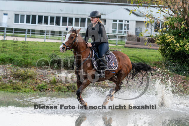 IGV Lehrgang der Sieger der Cups mit Frank Ostholt