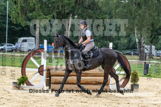 Hunter Geländetraining 10.07.2021 (Sonsbeck)