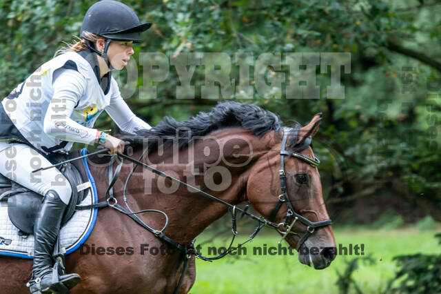 Vielseitigkeit RSV Wesel Obrighoven (26.+27.09.2020)