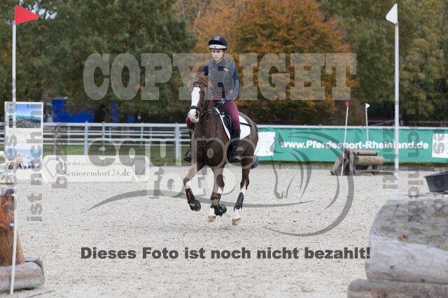 IGV Lehrgang der Sieger der Cups mit Frank Ostholt
