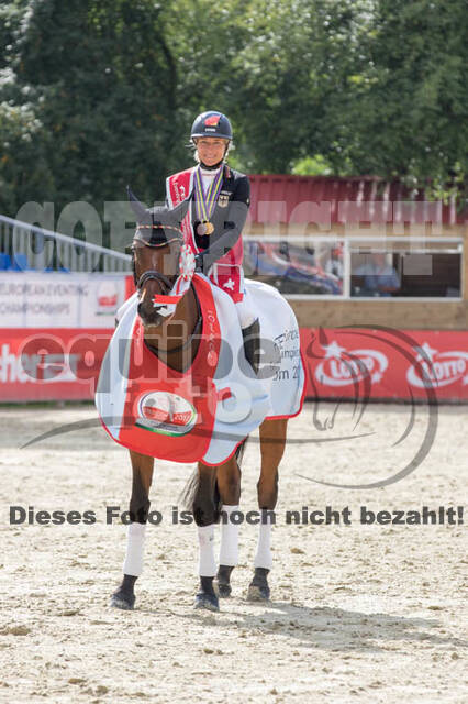 FEI European Championship Eventing 2017