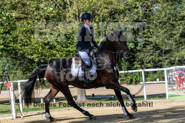 RFV Dinslaken-Hiesfeld (Herbstturnier)