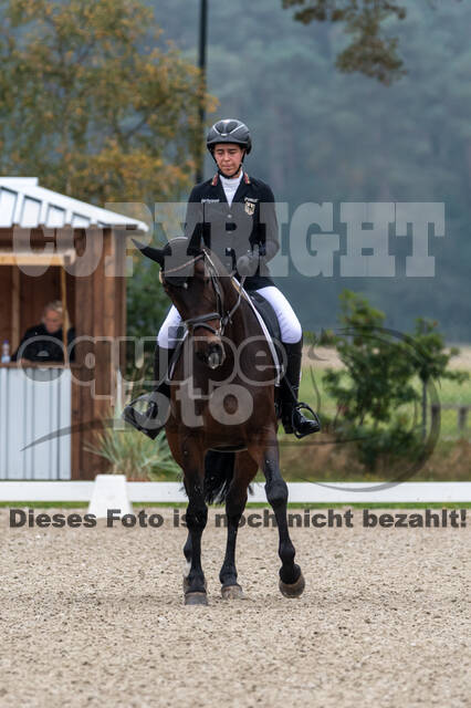 Deutsche Meisterschaft Vielseitigkeit (Luhmühlen)