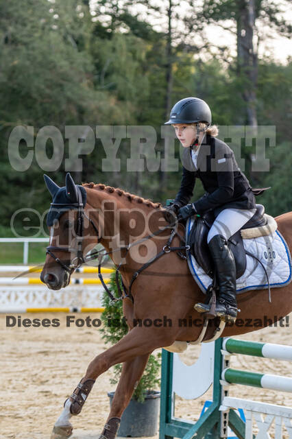 RFV Dinslaken-Hiesfeld (Herbstturnier)