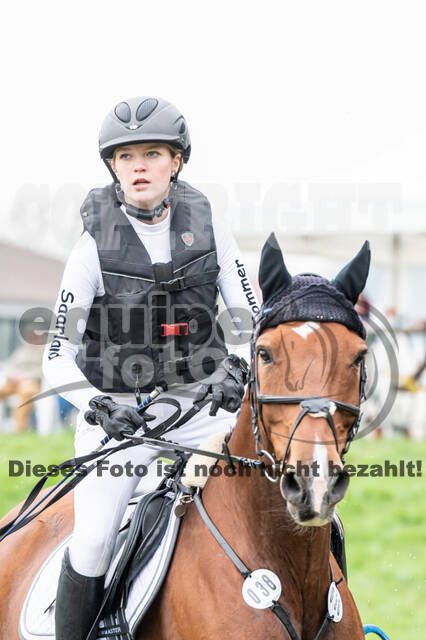 Goldene Schärpe 2020 - Pferde