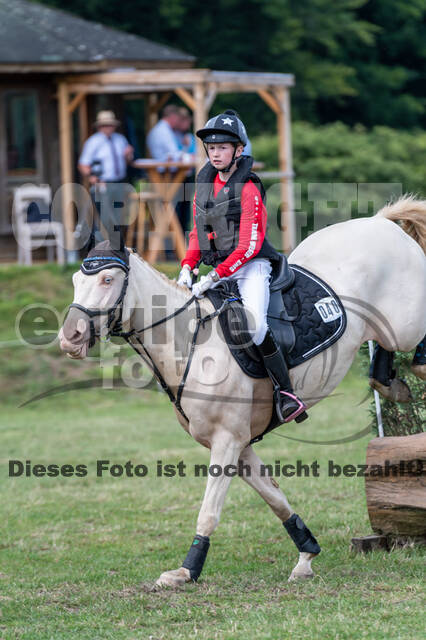 Goldene Schärpe 2021 - Ponys