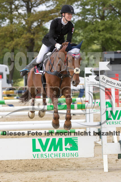 Sterne über Münster 2019 - CCI***S