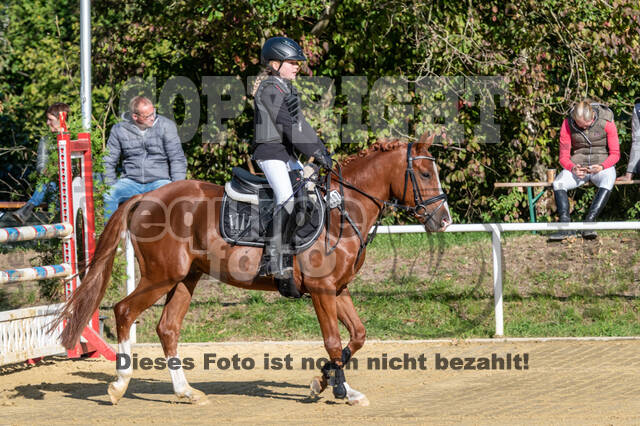 RFV Dinslaken-Hiesfeld (Herbstturnier)
