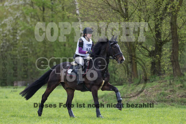 Vielseitigkeitsturnier RV Lippe-Bruch-Gahlen