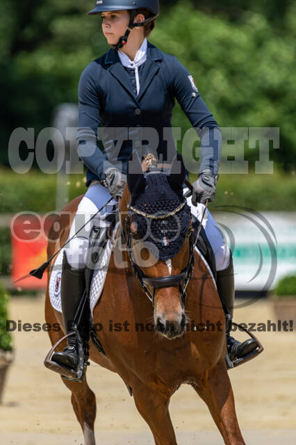 Goldene Schärpe 2021 - Ponys