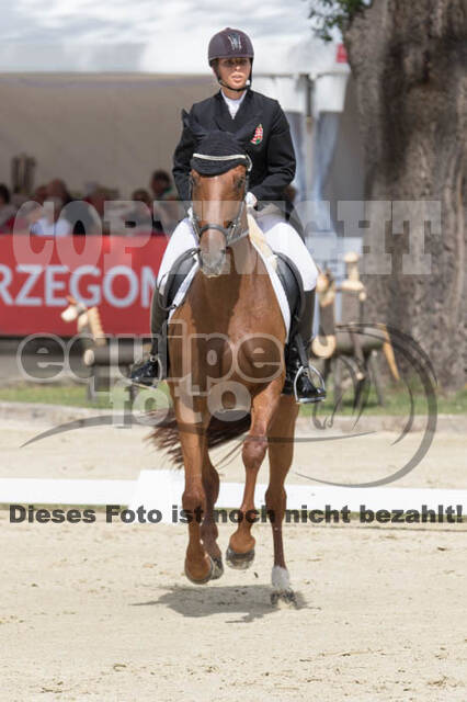 FEI European Championship Eventing 2017