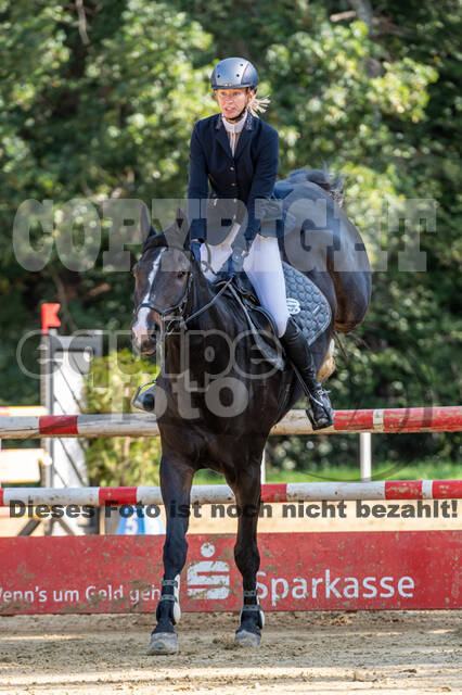RFV Dinslaken-Hiesfeld (Herbstturnier)