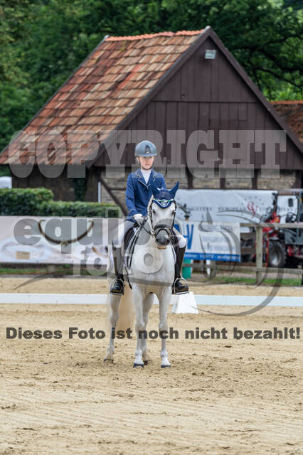 Goldene Schärpe 2021 - Ponys