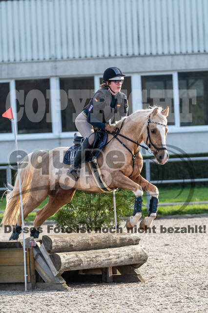 IGV Lehrgang der Sieger der Cups mit Frank Ostholt