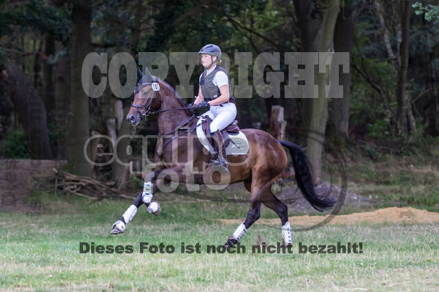 Late-Entry Vielseitigkeit Hamminkeln/Wesel (01.+02.08.2020)