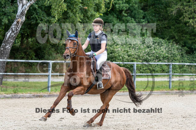Late-Entry-Vielseitigkeit Langenfeld (11.+13./14.06.2020)