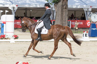 FEI European Championship Eventing 2017