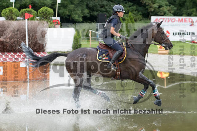 FEI European Championship