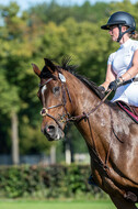Kronenberg - De Peelbergen (August 2020)