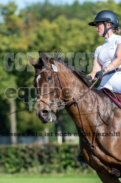 Kronenberg - De Peelbergen (August 2020)