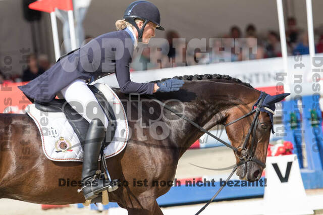 FEI European Championship Eventing 2017