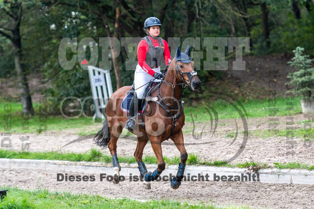 Goldene Schärpe 2020 - Pferde