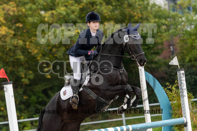 Reiter Schleswig-Holstein