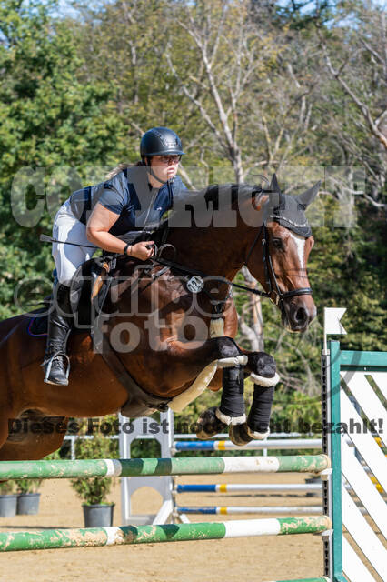 RFV Dinslaken-Hiesfeld (Herbstturnier)